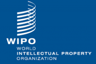 Regional Online Seminar - IP Offices and Use of WIPO’s Alternative Dispute Resolution Services.